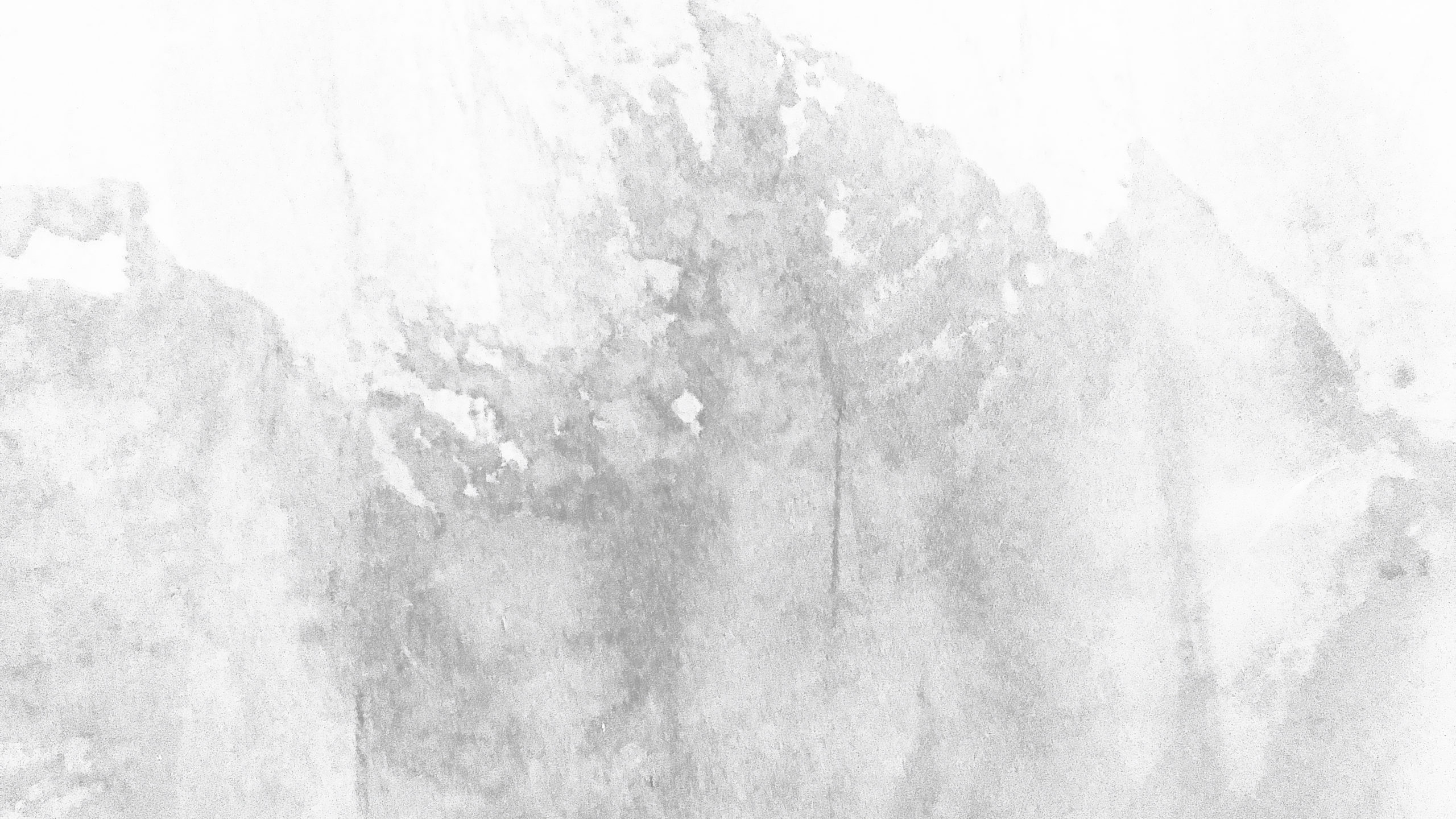 concrete wall – exposed white concrete texture with cracked detail