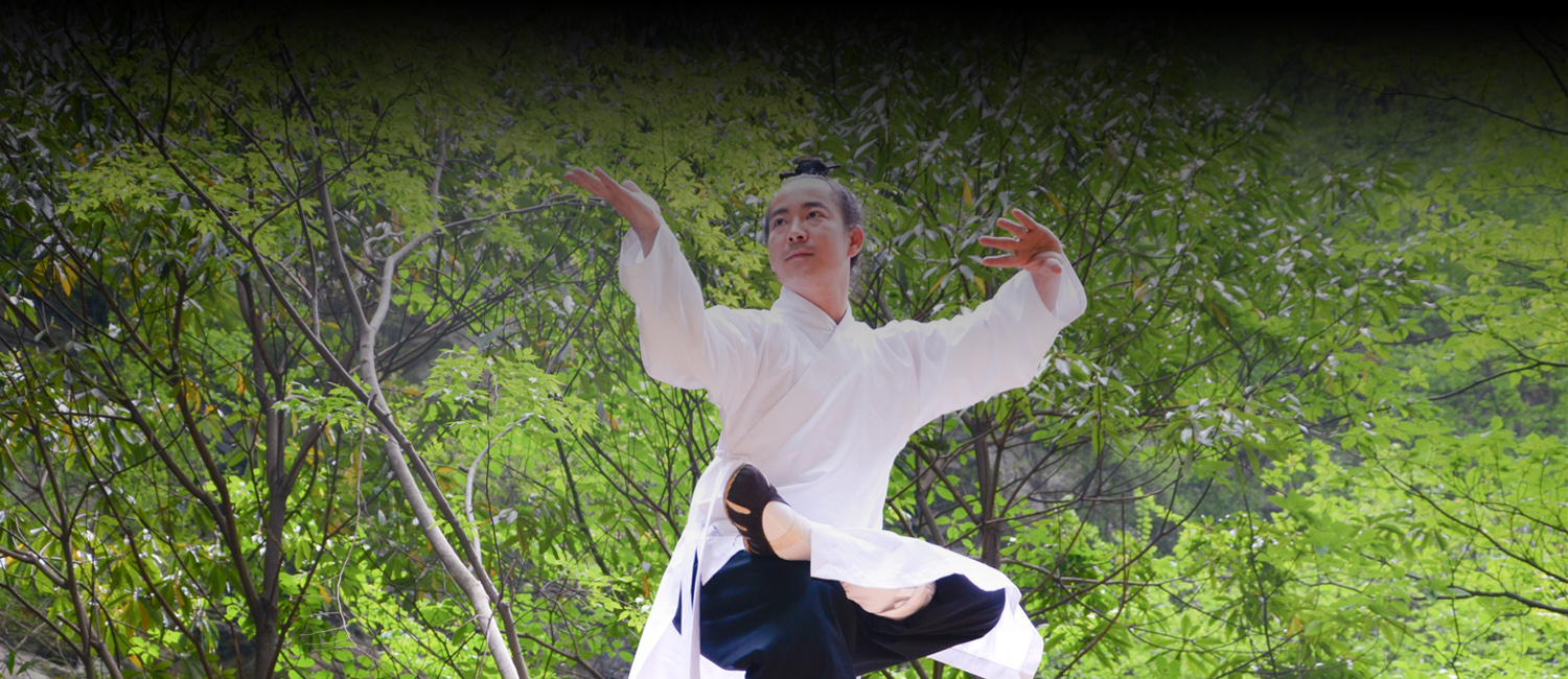 stage 6 harmonie 5 éléments – qing fengzi copie